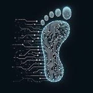 wp-content/uploads/2025/06/digital_footprint.jpeg